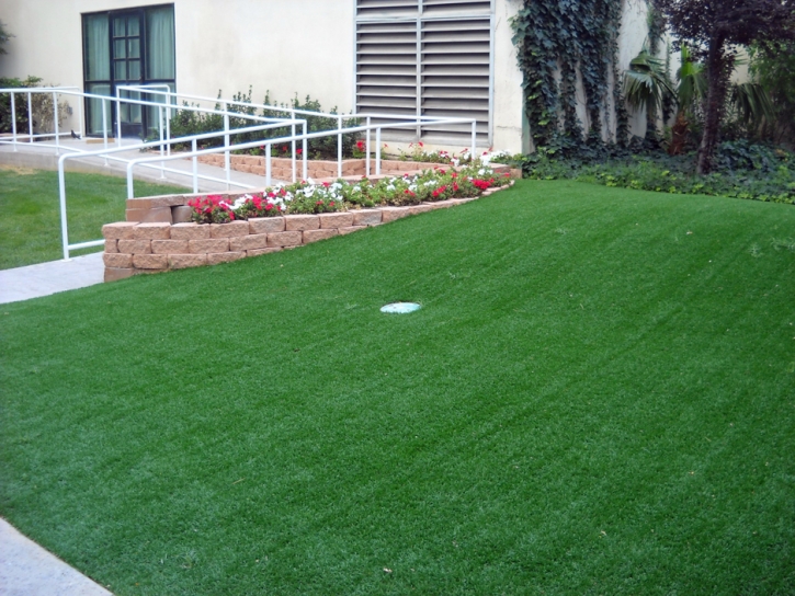 Fake Lawn Divide, Colorado Landscape Ideas, Front Yard Landscaping