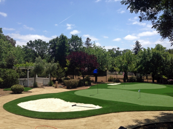 Fake Lawn Nunn, Colorado Putting Green Carpet, Landscaping Ideas For Front Yard