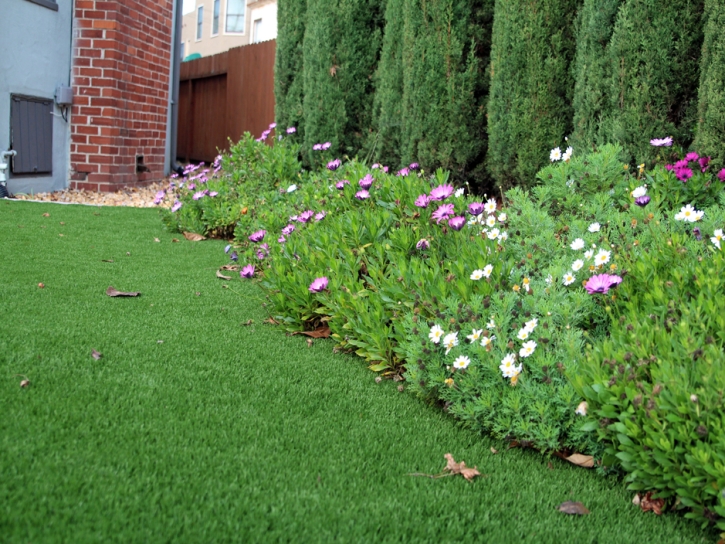 Fake Lawn Walden, Colorado Backyard Playground, Front Yard Design