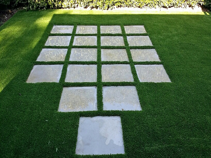 Fake Turf Branson, Colorado Design Ideas, Backyard Landscape Ideas