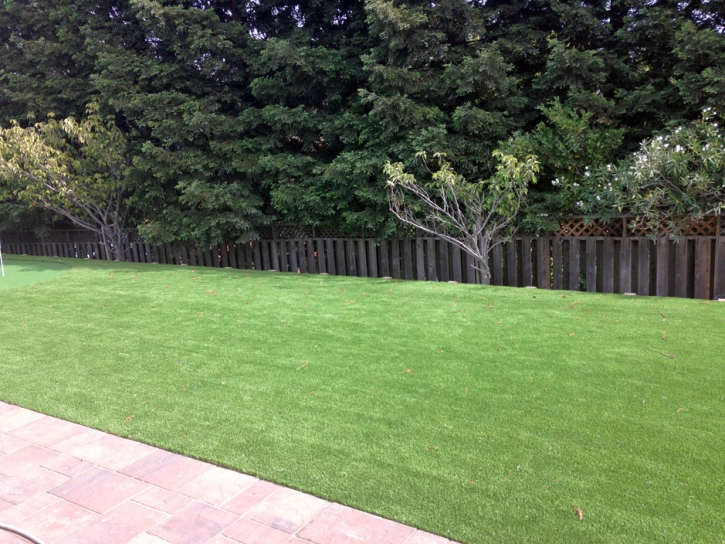 Fake Turf Towaoc, Colorado City Landscape, Backyard Makeover