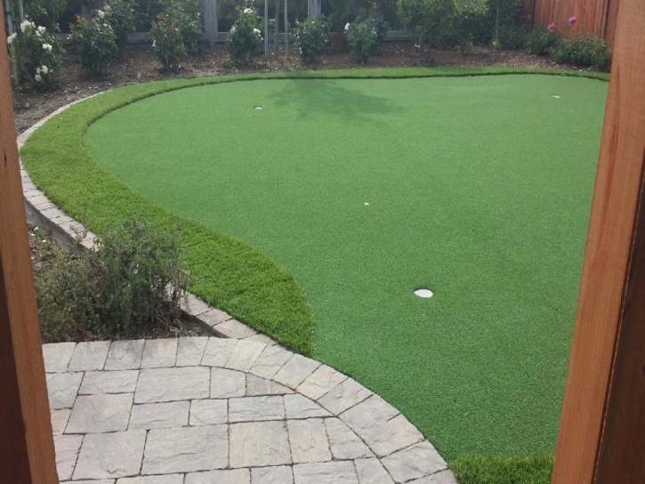 Faux Grass Franktown, Colorado Roof Top, Backyard Landscape Ideas