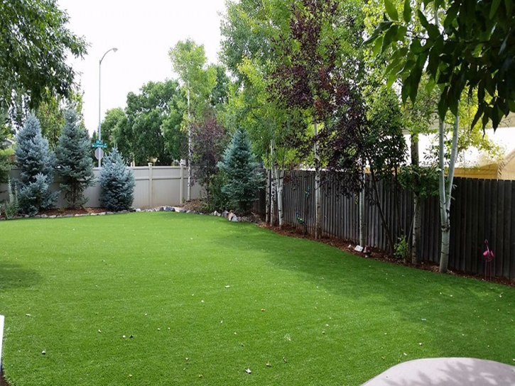 Faux Grass Howard, Colorado Cat Playground, Beautiful Backyards