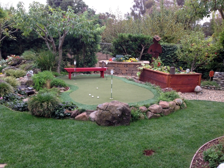 Grass Carpet Erie, Colorado Putting Green Carpet, Small Backyard Ideas