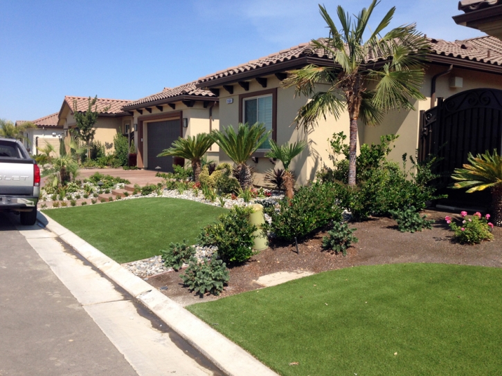 Grass Carpet Lewis, Colorado City Landscape, Front Yard Design