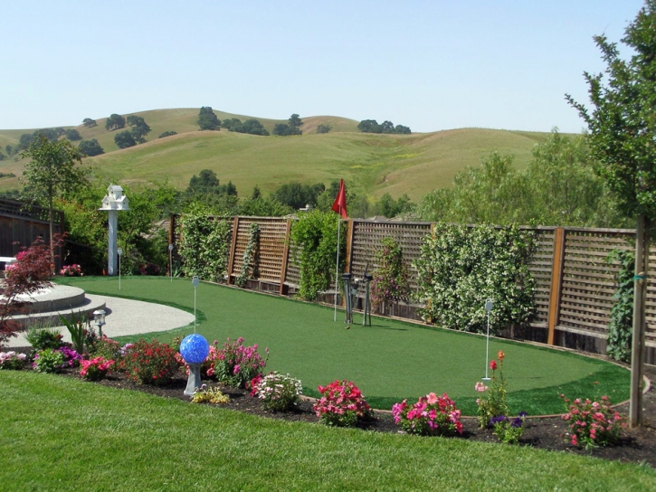 Grass Carpet Wellington, Colorado Landscaping Business, Backyard Design