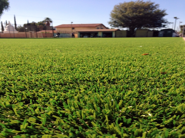 Grass Installation Black Forest, Colorado Landscaping Business