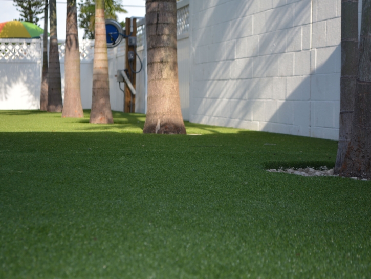 Grass Turf Aguilar, Colorado City Landscape, Commercial Landscape