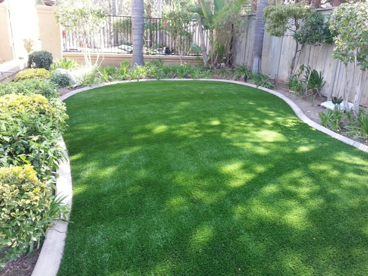 Grass Turf Fort Garland, Colorado Lawn And Garden