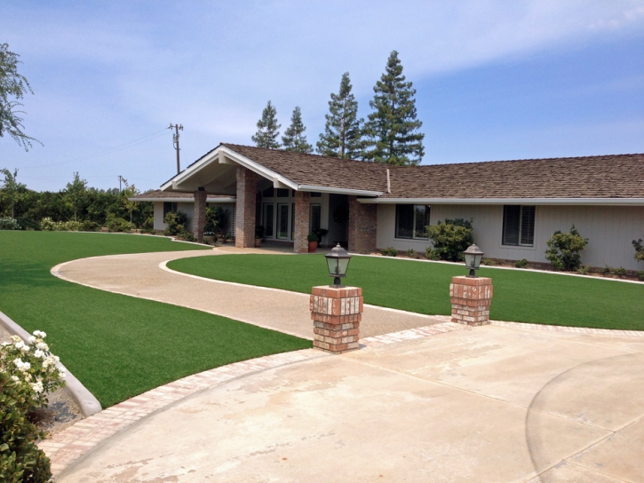 Grass Turf New Castle, Colorado Landscape Design, Front Yard Landscape Ideas