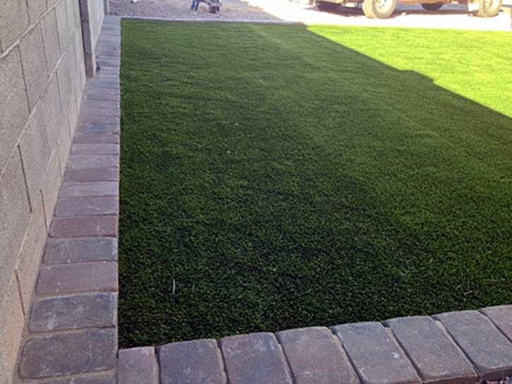 Green Lawn Coaldale, Colorado Watch Dogs, Front Yard