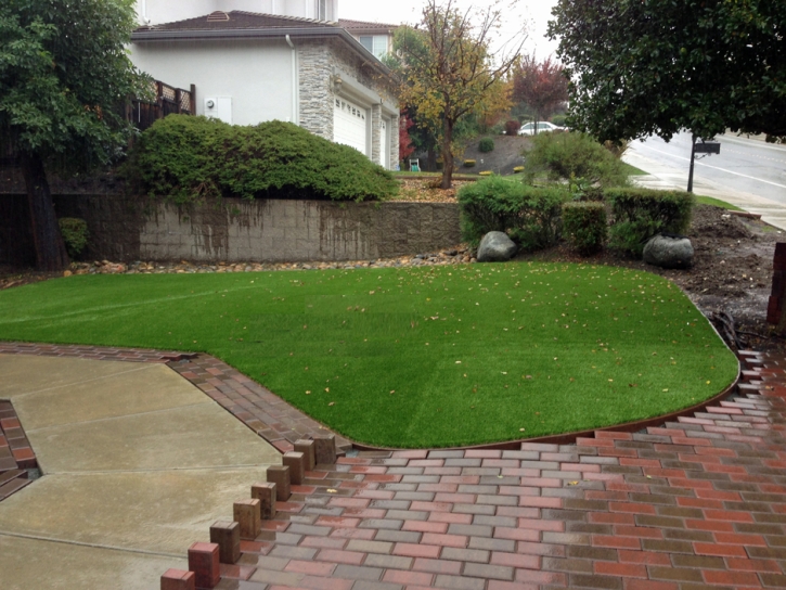 Green Lawn Indian Hills, Colorado Landscaping, Backyard Landscaping Ideas