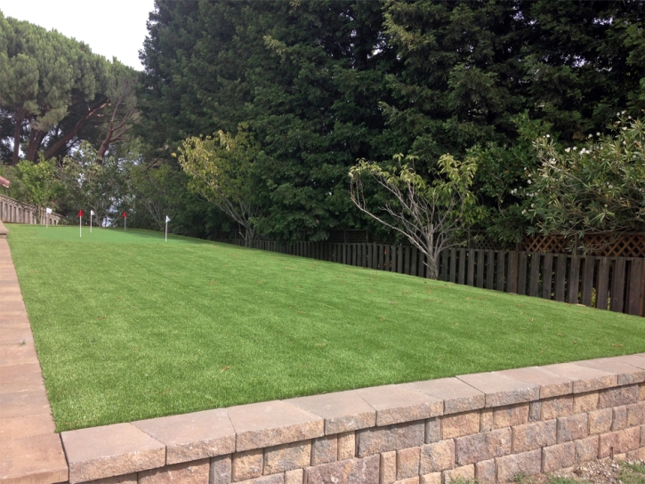 Green Lawn Twin Lakes, Colorado Indoor Putting Green, Beautiful Backyards