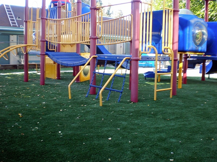 Green Lawn Victor, Colorado Playground Turf, Commercial Landscape