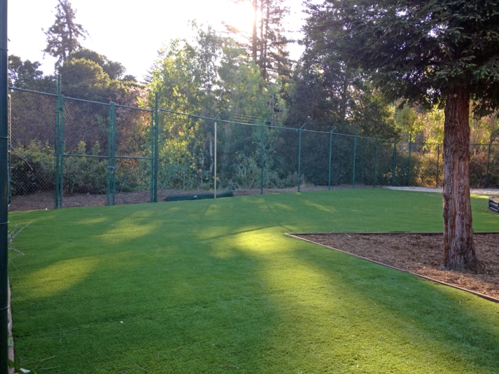 How To Install Artificial Grass Tabernash, Colorado Gardeners, Recreational Areas