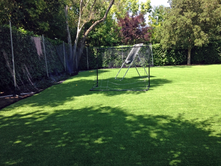 Lawn Services Iliff, Colorado Lawns, Backyard Makeover