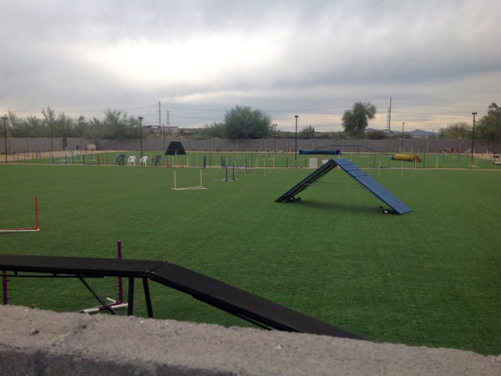 Lawn Services Laird, Colorado Sports Athority, Recreational Areas