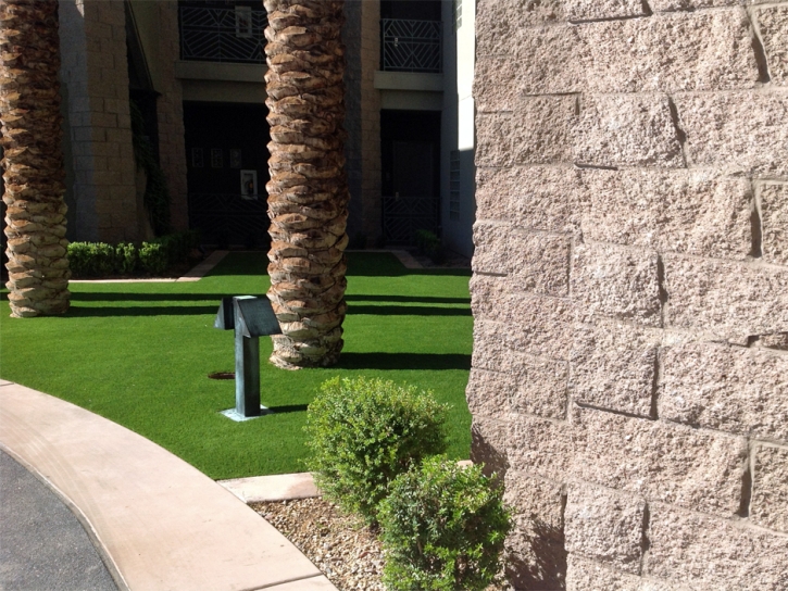 Outdoor Carpet Clifton, Colorado Lawn And Garden, Commercial Landscape