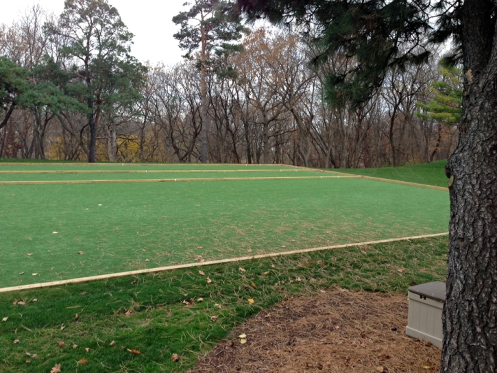 Outdoor Carpet Glendale, Colorado Backyard Soccer