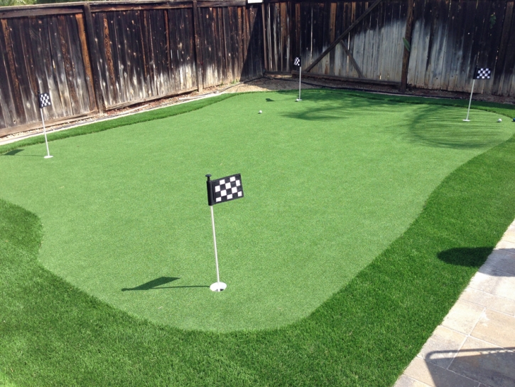 Outdoor Carpet Leyner, Colorado Best Indoor Putting Green, Backyard Landscape Ideas