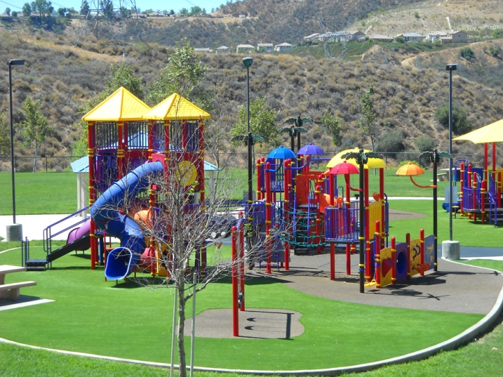 Plastic Grass Williamsburg, Colorado Indoor Playground, Recreational Areas