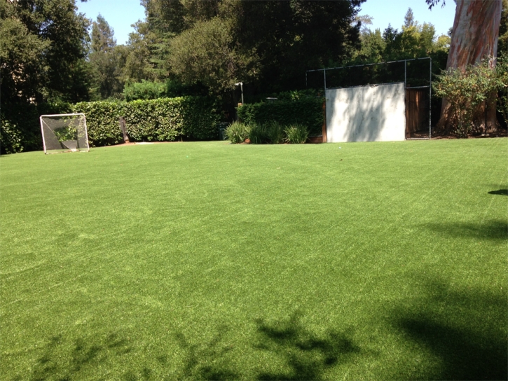 Synthetic Grass Cost East Pleasant View, Colorado Sports Athority, Backyard Ideas