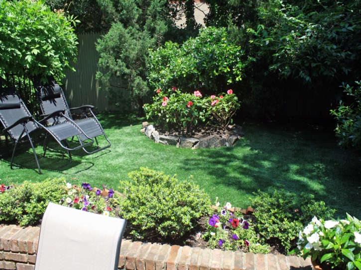 Synthetic Grass Cost Olney Springs, Colorado Landscaping Business, Backyard Design