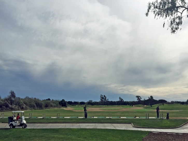 Synthetic Grass Fowler, Colorado Putting Green Turf