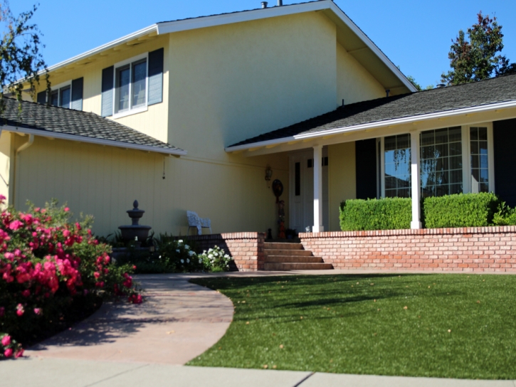 Synthetic Grass Pritchett, Colorado Garden Ideas, Front Yard Design
