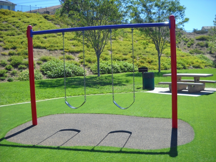 Synthetic Grass Prospect Heights, Colorado Lacrosse Playground, Recreational Areas