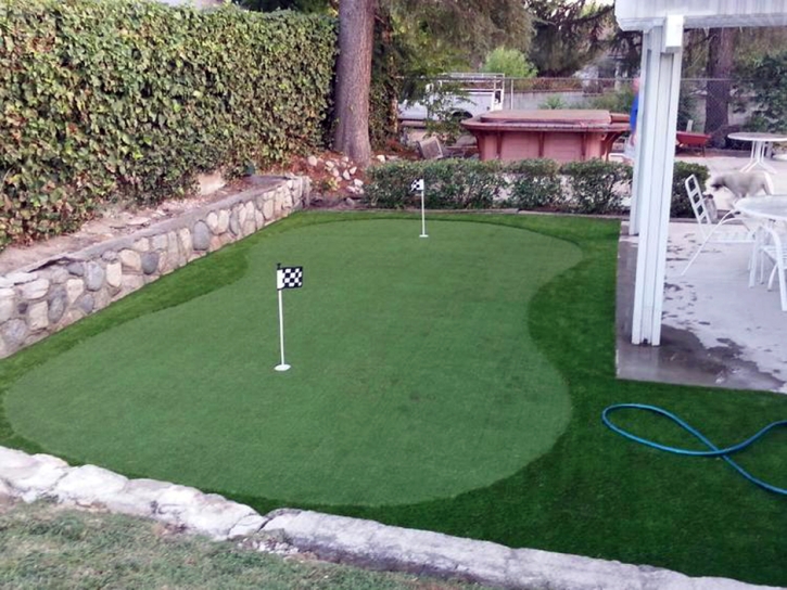 Synthetic Lawn Englewood, Colorado Best Indoor Putting Green, Backyard Landscaping Ideas