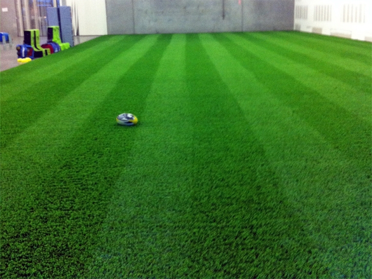 Synthetic Lawn Florence, Colorado Sports Turf