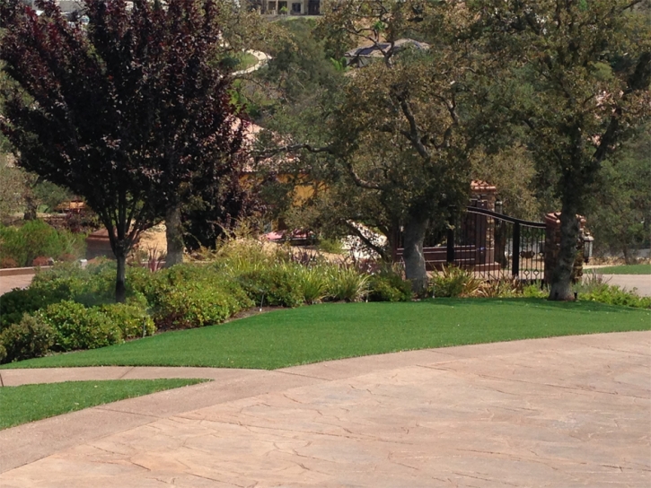 Synthetic Lawn Kit Carson, Colorado Lawn And Garden, Backyard