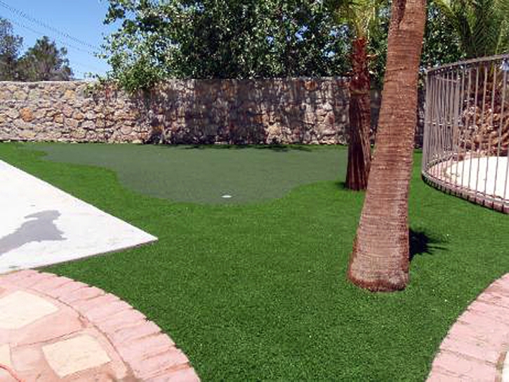 Synthetic Lawn Laporte, Colorado Landscape Design, Backyard Ideas