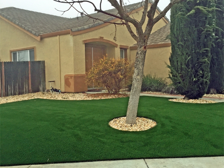 Synthetic Lawn Paoli, Colorado Gardeners, Front Yard Landscaping Ideas