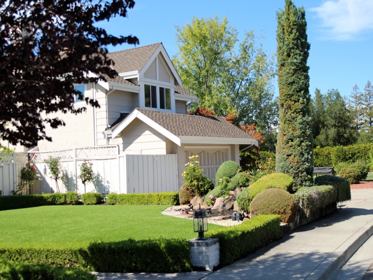 Synthetic Lawn Redlands, Colorado Landscape Photos, Front Yard Landscape Ideas