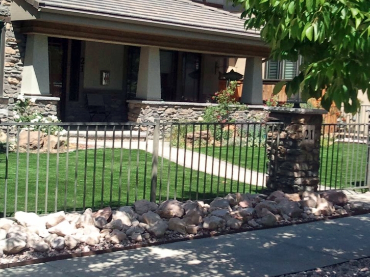 Synthetic Lawn Roxborough Park, Colorado Gardeners, Front Yard Design
