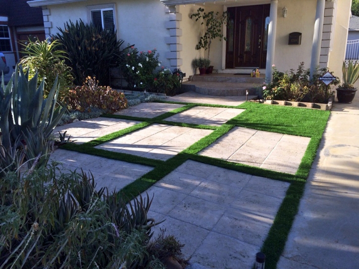 Synthetic Turf Applewood, Colorado Rooftop, Front Yard Landscape Ideas