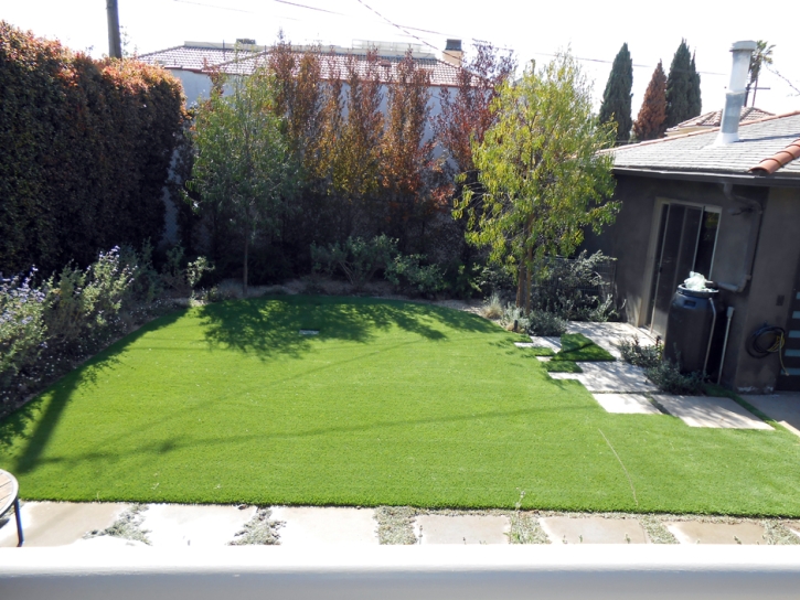 Synthetic Turf Craig, Colorado Garden Ideas, Small Backyard Ideas