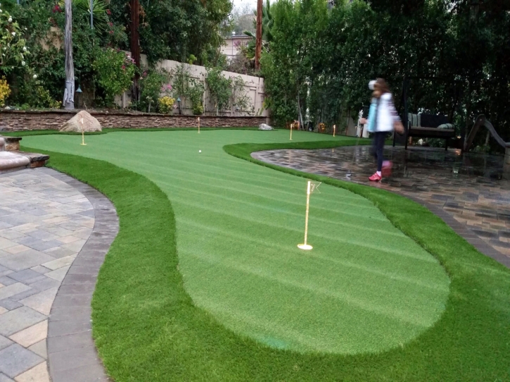 Synthetic Turf Deer Trail, Colorado Landscape Ideas, Backyard Landscape Ideas