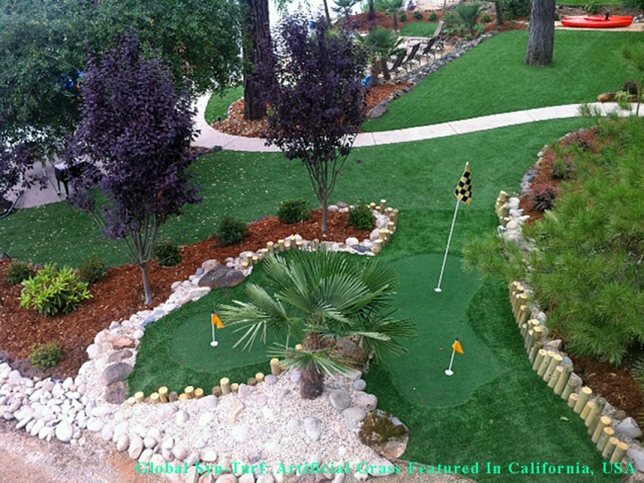 Synthetic Turf Denver, Colorado Landscape Ideas, Backyard Ideas