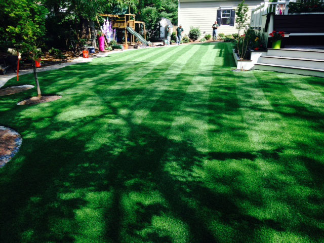 Synthetic Turf La Jara, Colorado Landscape Photos, Backyard Designs