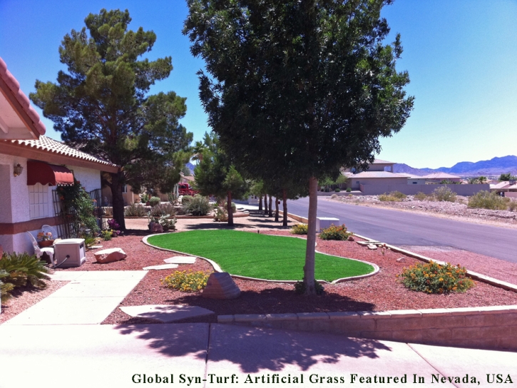 Synthetic Turf Lakeside, Colorado Rooftop, Front Yard Design