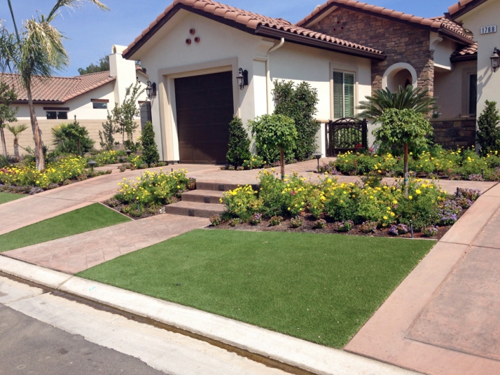 Synthetic Turf Lakewood, Colorado Backyard Playground, Front Yard Landscaping