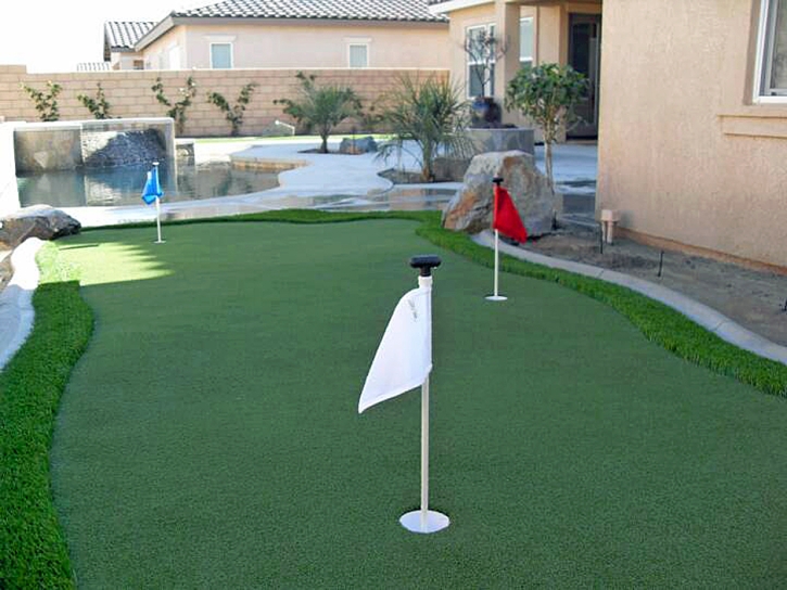 Synthetic Turf Snowmass Village, Colorado Putting Green Grass, Small Backyard Ideas