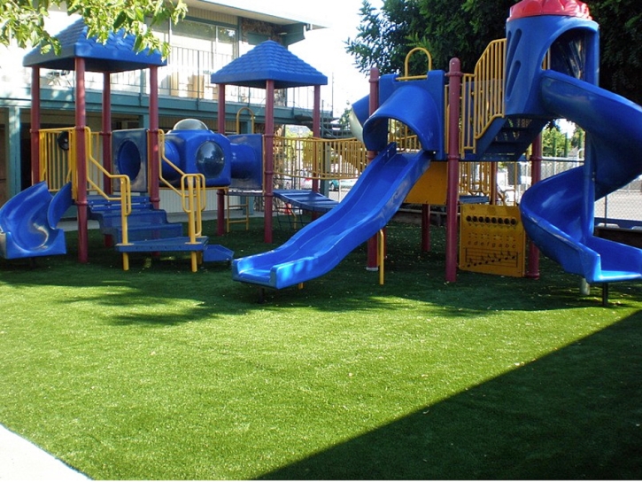 Synthetic Turf Supplier Capulin, Colorado Indoor Playground, Commercial Landscape