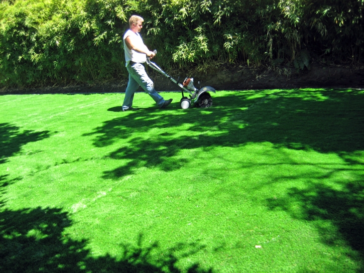 Synthetic Turf Supplier Heritage Hills, Colorado Landscaping, Backyard Landscaping
