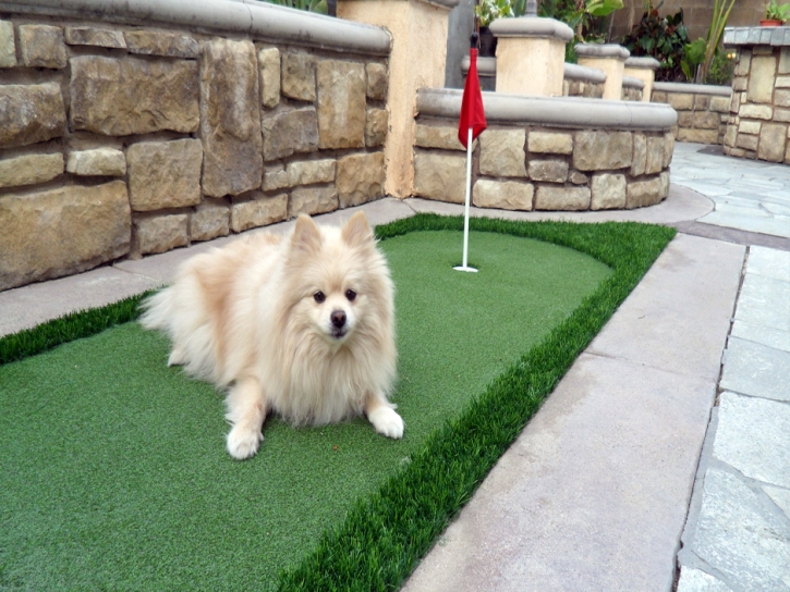 Synthetic Turf Supplier Marble, Colorado Putting Green Carpet, Backyard Makeover