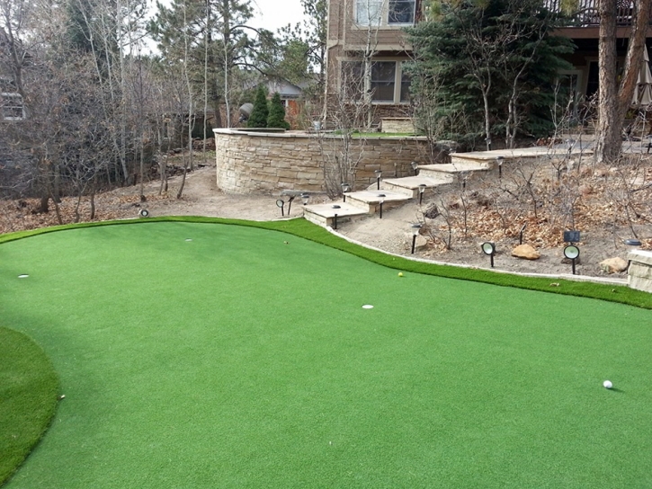 Synthetic Turf Supplier Maysville, Colorado Putting Green Grass, Backyard Designs