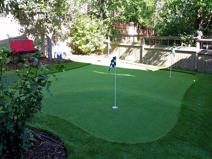 Synthetic Turf Supplier Oak Creek, Colorado Design Ideas, Beautiful Backyards